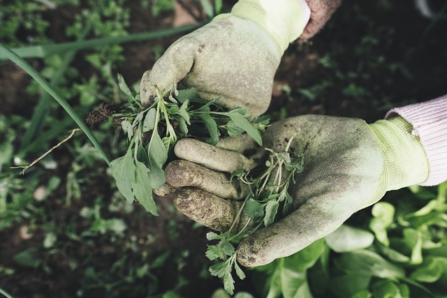 Gartenarbeit